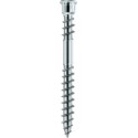 Vis terrasse tete cylindrique TX15 Inox Trempé avec homologation, 905535 5,5 x 50 (Par 200)
