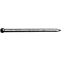 Clou tete ronde galva 3,1x 70 a 2,5kg (Par 5)