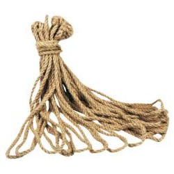 Cordelette 10 mm x 2,5 m avec 1 oeillet (Par 10)