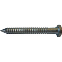 Clou tete plate zn 4,0x 60 (Par 250)
