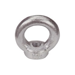 Vis a oeil DIN 582acier inoxydable A2 M8 HP (Par 25)