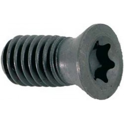 Pièce de rechange pour fraise à chanfreiner de 45° à arrosage central, vis à empreinte TORX® pour plaquette CPMT 05T1...