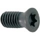 Pièces de rechange, fraise à chanfreiner 10 à 80° avec arrosage central, Modèle : Vis à empreinte TORX® pour plaquette amovible