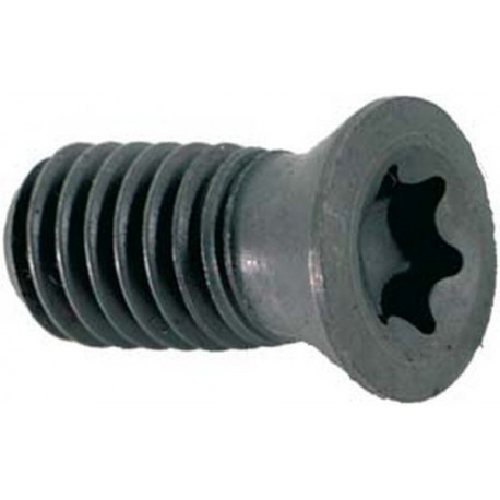 Pièces de rechange, fraise à chanfreiner 10 à 80° avec arrosage central, Modèle : Vis à empreinte TORX® pour plaquette amovible
