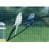 Rouleau grillage galva 5 m-Kurzr. 19,0X1,40X1000 mm (Par 6)
