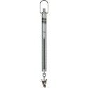 Peson Micro 10g Pesola