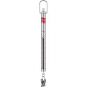 Peson Micro 30g Pesola