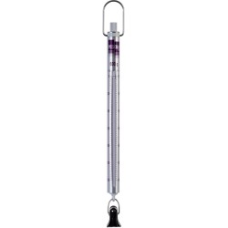 Peson Medio 600g Pesola