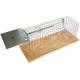 Piège a rat Swissinno Solution