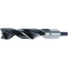 Mèche a bois WS R Standard 22 x160/210mm S13 Fisch