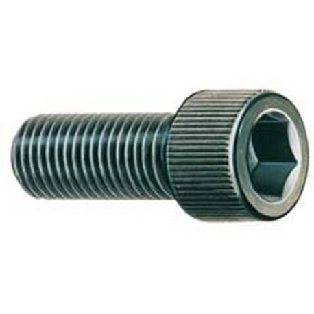 Vis de fixation pour mandrin à 3 mors DURO-T, Filetage : M8 x 1 x 22, Taille 160/200 mm