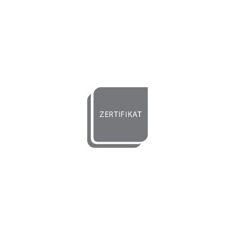 Clé à cliquet 1- 6Nm 1/4" FORTIS