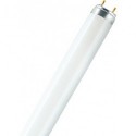 Tube LED 60cm 7,6W warmblanc