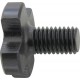 Vis de serrage pour fraises, Pour Ø de mandrin/filetage : 22 mm/M10