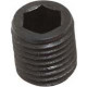 Vis de rechange intérieure à tête hexagonale, Taille : 25