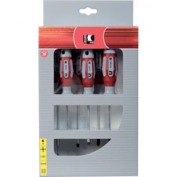 Tournevis-Set 6 pièces 6kt. CircumPRO