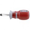 Tournevis 4 x 25mm CircumPRO