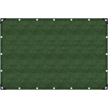Bache oliv 8x10m UV-stabilis. oiellet 50 cm