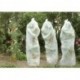 Couverture tomate hivers 08x5m 17g blanc