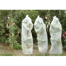 Couverture tomate hivers 08x5m 17g blanc