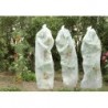 Couverture tomate hivers 08x5m 17g blanc