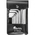 Ensemble clé allen 10 unités 2-14mm FORTIS