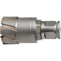 Fraise HM QuickIn MAXØ 50x50mm Fein