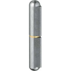 Gond de porte KO 41 100mm 2- unités avec carré laiton