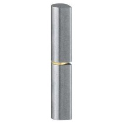 Gond de porte KO 50 100mm Inox