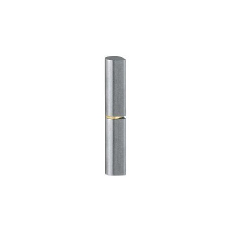 Gond de porte KO 50 80mm Inox