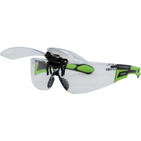 Lunettes de lecture avant avec porte-clip 10 dioptrie