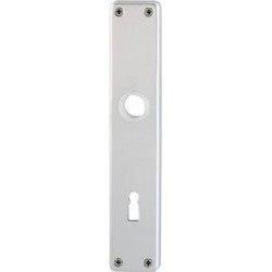 Plaque longue porte 202SP PZ55mmF1
