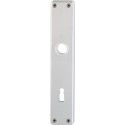 Plaque longue porte 202SP PZ55mmF1