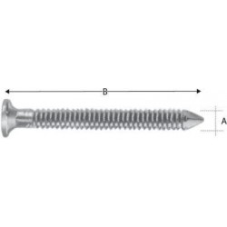 Vis inoxydable CNA40x40S (Par 250)