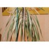 Tuteur 10er Set 50 cm natur CircumPRO