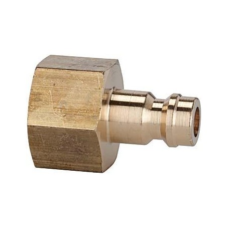 Raccord NW5 MS IG G1/8 f. Raccord Riegler