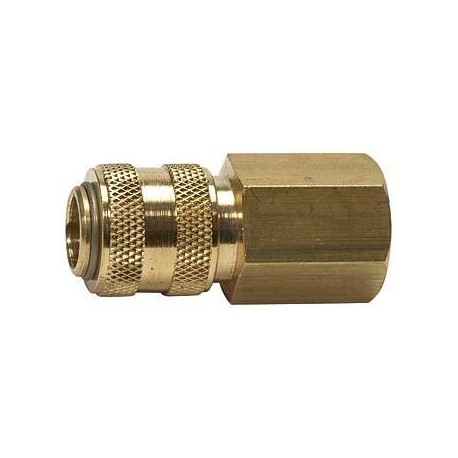 Raccord NW 5 MS IG G1/8 Riegler