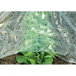 Bache anti froid légume 1,5X10m transparent CircumPRO