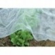 Protège ant gel légumes 10x1,5m, 17g/qm CircumPRO