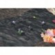 Bache Mauvaises herbes / paillis 5x1,5 noir CircumPRO