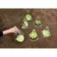 Couvre plantes 10 vert plastique