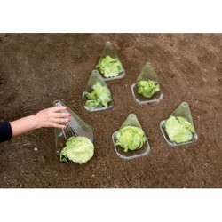 Couvre plantes 10 vert plastique