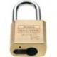 Cadenas pour ProfilHalbzylinder 50 HB 80 ER