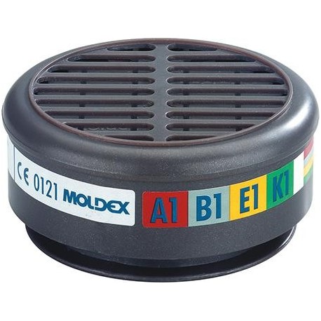 Filtres 8900 A1B1E1K1 pour Serie 8000 (Par 10)