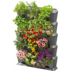 Set Vertical avec irrigation