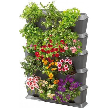 Set Vertical avec irrigation