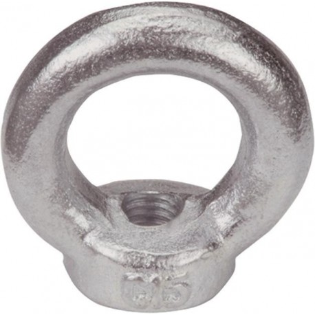 Piton DIN 582 acier inoxidable A4 M8 HP (Par 10)