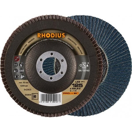 Disque à lamelles LGZ F1125mm K 80 Rhodius