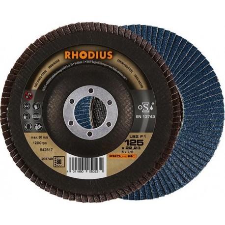 Disque à lamelles LSZ F1125mm K 80 Rhodius