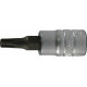 Embout pour tournevis 1/4'' pour vis femelle TORX®, Dimensions : T 20, Long. 36 mm, Pour vis M4-M5